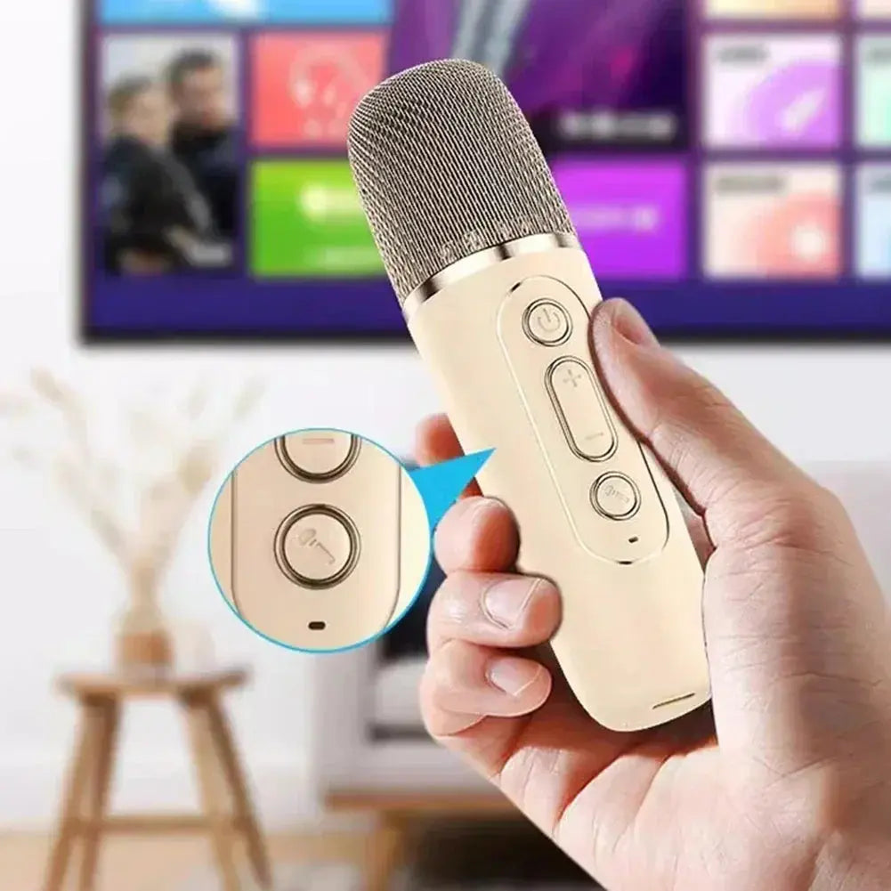 Children’s Karaoke Portable Speaker with Singing Microphones Famies by Dams